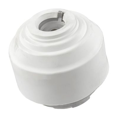 Piekare, Dzinējs LEMFÖRDER 25390 01