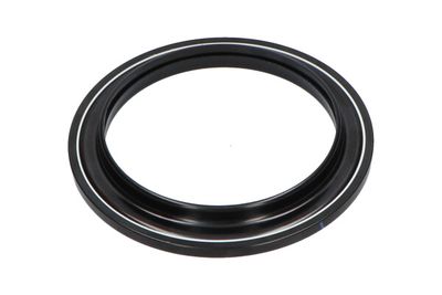 Ritgultnis, Amortizatora statnes balsts KAVO PARTS SSM-10148