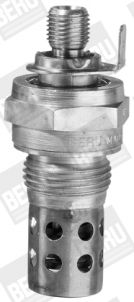 Kvēlsvece BorgWarner (BERU) GF186