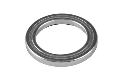 Ritgultnis, Amortizatora statnes balsts TEDGUM 00217010