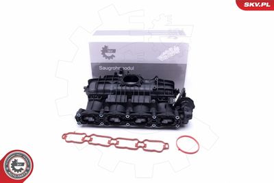 Модуль впускной трубы ESEN SKV 49SKV035