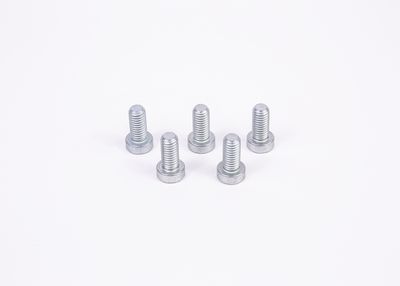 BOSCH F01M100684 Skrūve