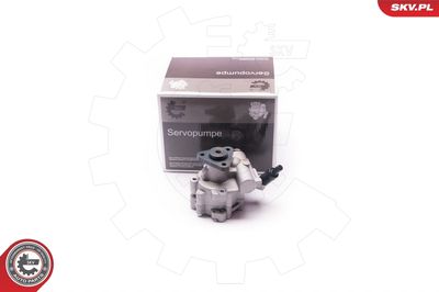 Hidrosūknis, Stūres iekārta ESEN SKV 10SKV030