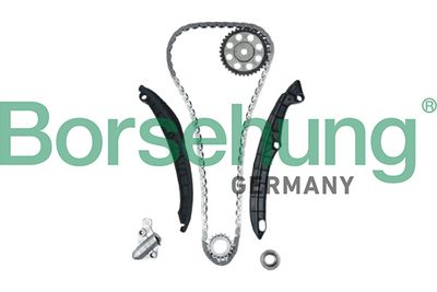 Комплект цели привода распредвала Borsehung B12879