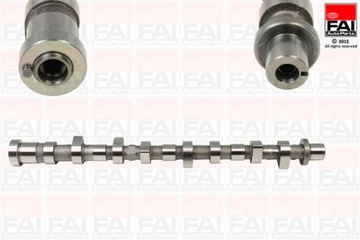 Распредвал FAI AUTOPARTS C295