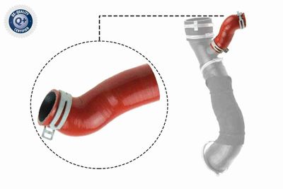 Трубка нагнетаемого воздуха VAICO V251032