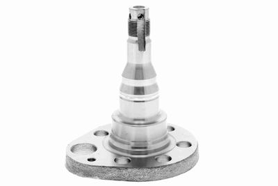 Ass pulka, Tilta sija VAICO V10-1338