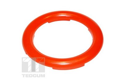 Atsperes atbalstplāksne TEDGUM 00649623