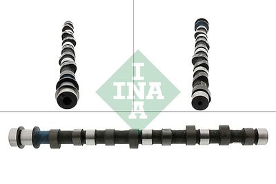 Распредвал Schaeffler INA 428 0129 10