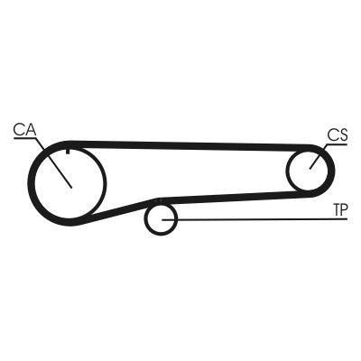 Zobsiksna CONTINENTAL CTAM CT779