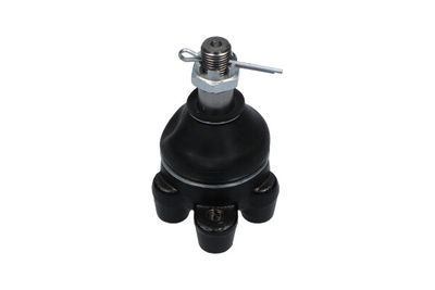 Шарнир независимой подвески / поворотного рычага KAVO PARTS SBJ-5503
