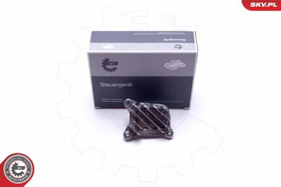 Устройство управления, освещение ESEN SKV 59SKV134