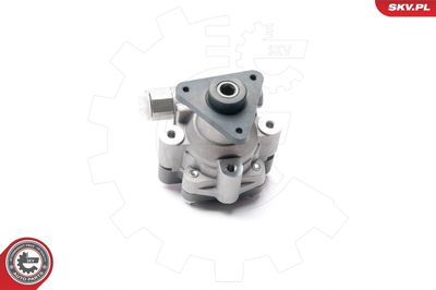 Hidrosūknis, Stūres iekārta ESEN SKV 10SKV227