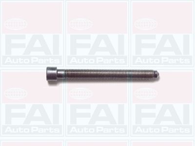 Комплект болтов головки цилидра FAI AutoParts B1006