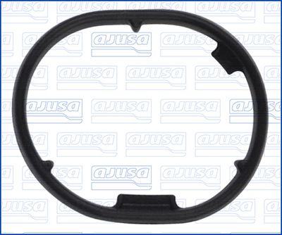Blīve, Eļļas filtrs AJUSA 01348300