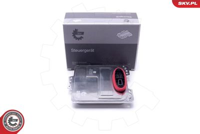 Устройство управления, освещение ESEN SKV 59SKV173