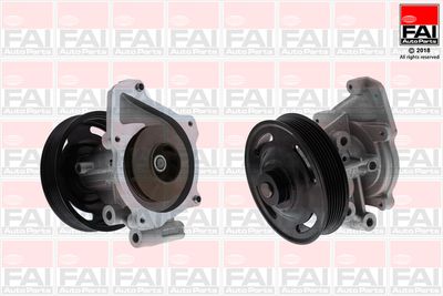 Ūdens sūknis, dzinēja dzesēšana FAI AutoParts WP6669