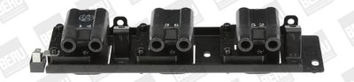 Aizdedzes spole BorgWarner (BERU) ZS487