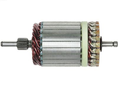 AS-PL SA3006 Enkurs, Starteris