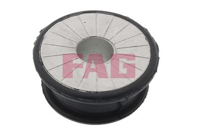 Piekare, Palīgrāmis/Agregātu balsts Schaeffler FAG 829 0551 10