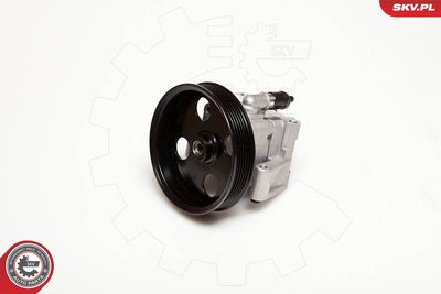 Гидравлический насос, рулевое управление ESEN SKV 10SKV050