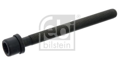 Болт головки цилиндра FEBI BILSTEIN 14342