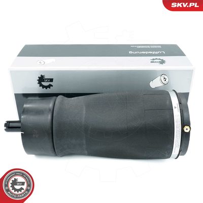 Pneimoatspere, Balstiekārta ESEN SKV 58SKV076