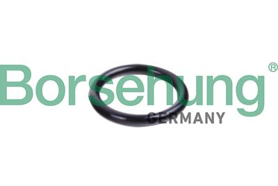 Уплотнительное кольцо, трубка охлаждающей жидкости BORSEHUNG B10632