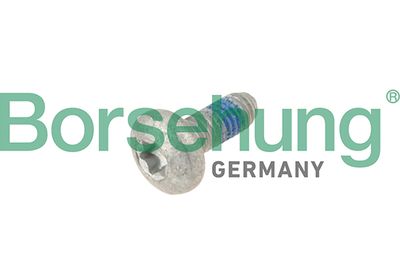 Фиксирующий болт, газораспределение BORSEHUNG B10646