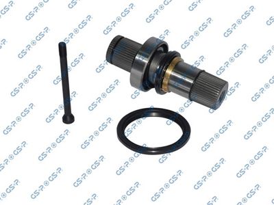 Atlokvārpsta, Diferenciālis GSP 261213