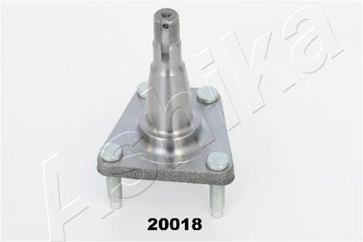 Ступица колеса ASHIKA 44-20018