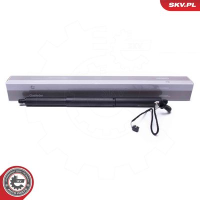 Электромотор, задняя дверь ESEN SKV 52SKV953