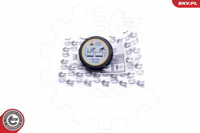 Vāciņš, Dzesēšanas šķidruma rezervuārs ESEN SKV 61SKV005