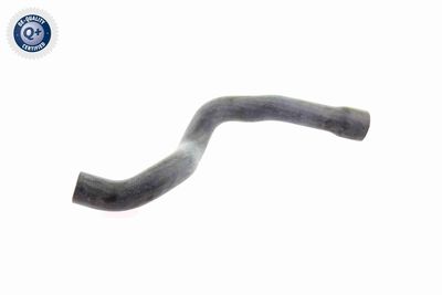 Шланг радиатора VAICO V40-1342