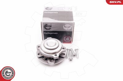Комплект подшипника ступицы колеса ESEN SKV 29SKV104