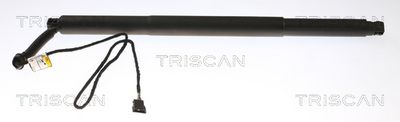 Gāzes atspere, Bagāžas/Kravas nodalījuma vāks TRISCAN 8710 11311