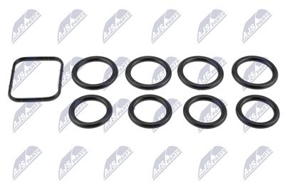 Комплект прокладок, впускной коллектор NTY BKS-CT-003