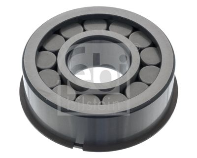 Подшипник, дифференциал FEBI BILSTEIN 100673