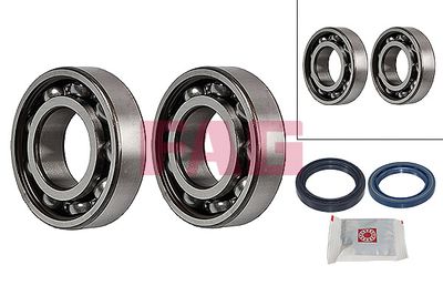 Комплект подшипника ступицы колеса Schaeffler FAG 713 6220 50
