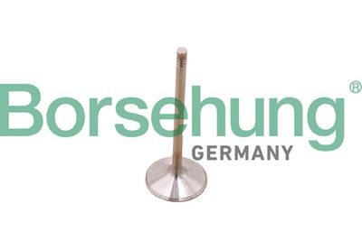 zawór wydechowy Borsehung B10348