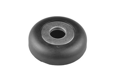 Ritgultnis, Amortizatora statnes balsts TEDGUM 00215848