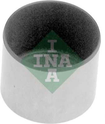 Bīdītājs Schaeffler INA 421 0029 10