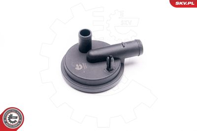 Клапан, отвода воздуха из картера ESEN SKV 31SKV009