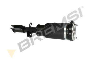 Pneimoatsperes statnis BREMSI SA1986