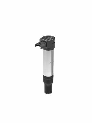 Aizdedzes spole BorgWarner (BERU) ZS385