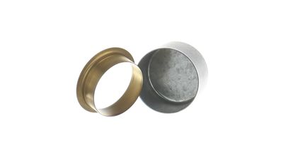 Čaula SKF 99817