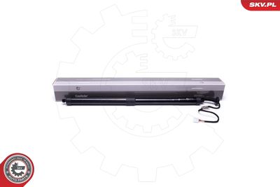 Электромотор, задняя дверь ESEN SKV 52SKV915