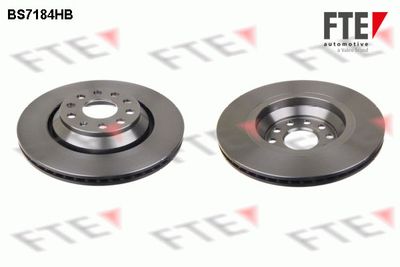 Тормозной диск FTE 9082592