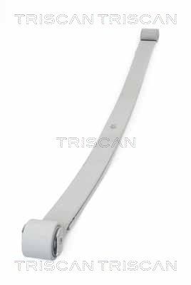 Многолистовая рессора TRISCAN 8765 10006
