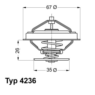 Termostats, Dzesēšanas šķidrums BorgWarner (Wahler) 4236.88D